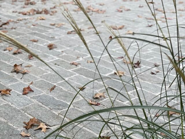 How to Choose Between Cobbles for Driveways and Travertine Tiles?