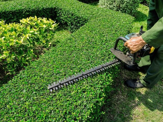 Hedge Trimming Services In Palm beach Fl: Create a Beautiful, Healthy, and Well-Maintained Landscape